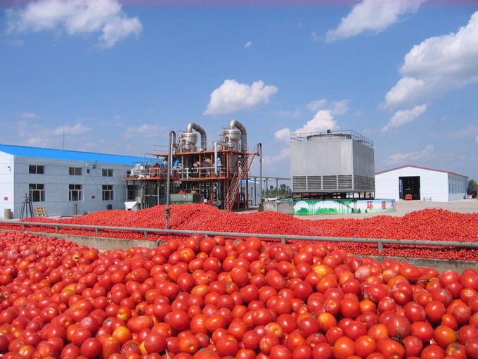 Arkhum (Tianjin) Health Technology Co., Ltd. lini produksi pabrikan